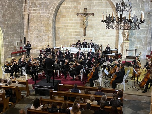 Orchestral Concert